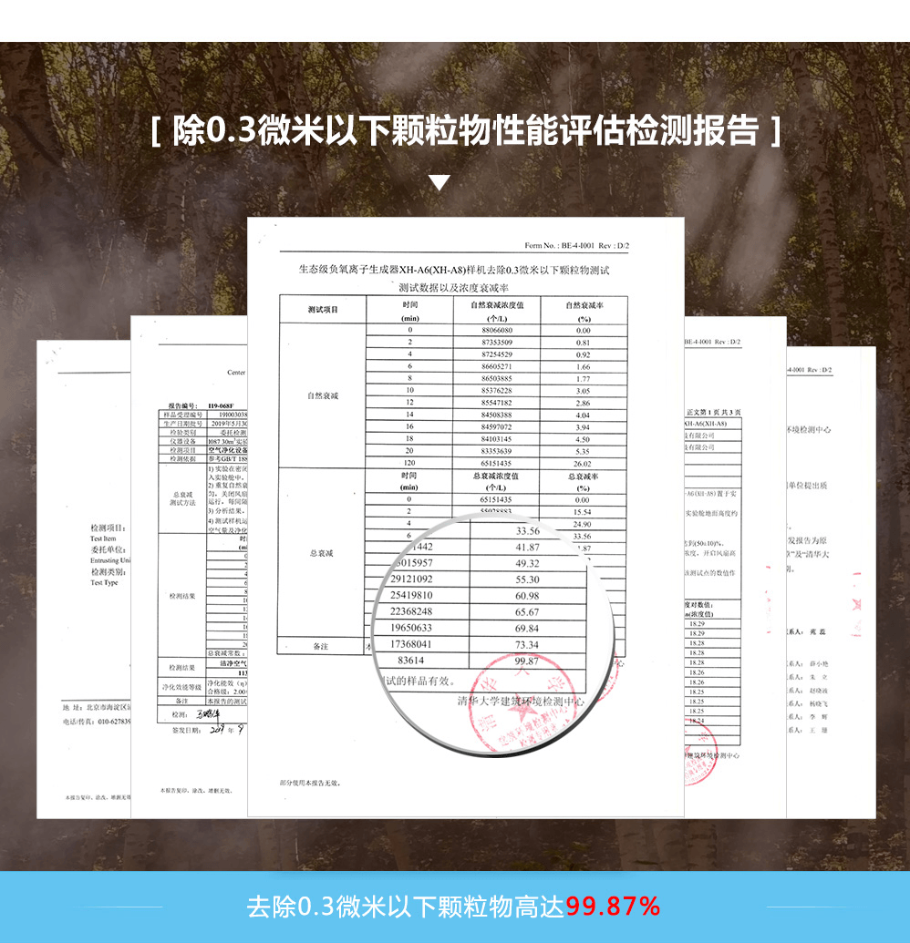 性能評估檢測報告