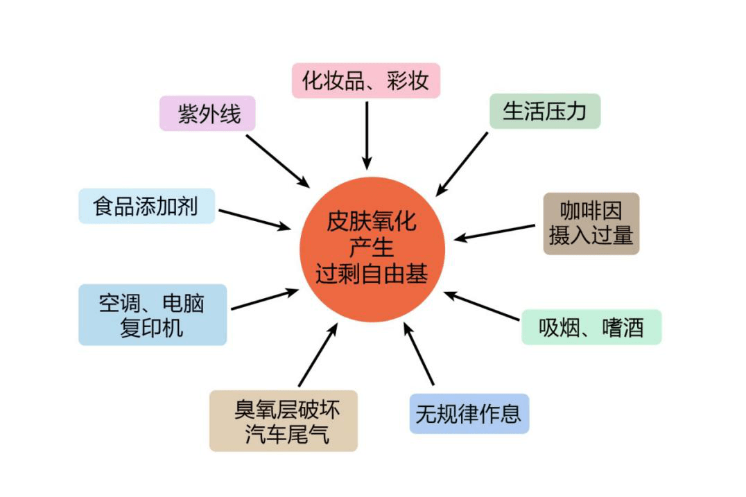 自由基與負氧離子