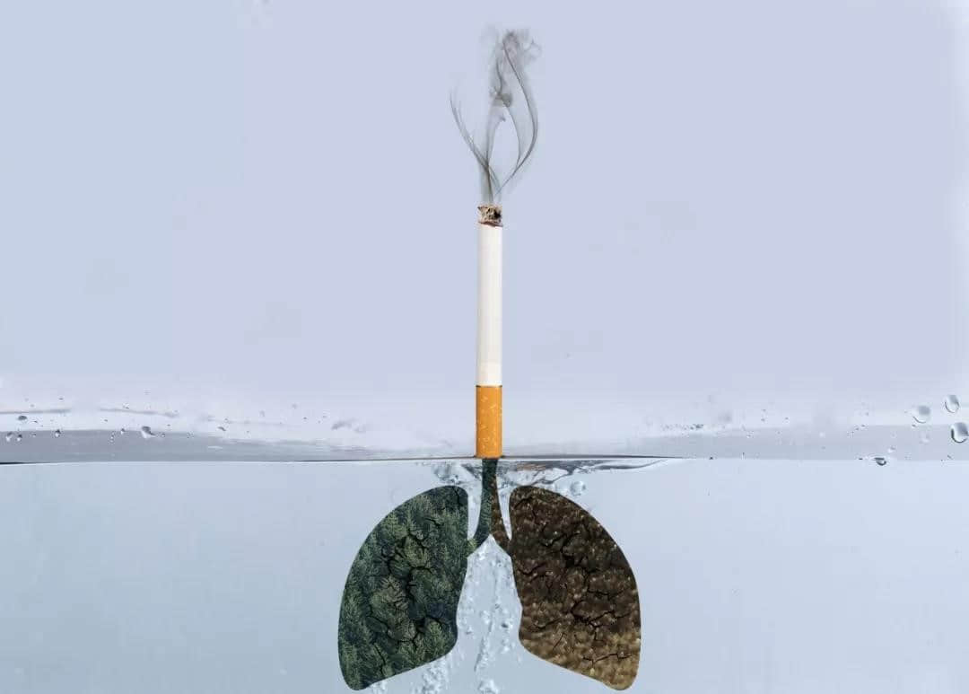 負(fù)氧離子助您遠(yuǎn)離慢阻肺，健康呼吸每一天
