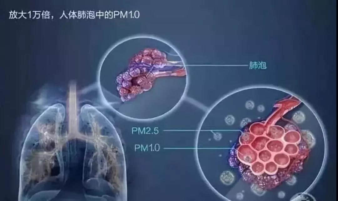 在空氣污染嚴(yán)重的今天，健康生活還需要空氣負(fù)離子助力