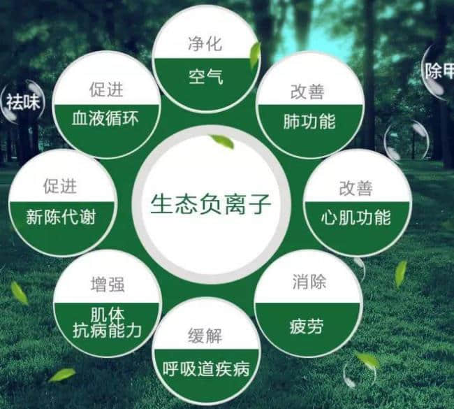 負離子空氣凈化器可以有效地預防“空調(diào)病”的發(fā)生